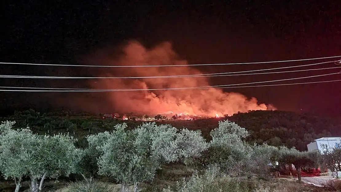 Milas’ta Çıkan Orman Yangını Kontrol Altına alındı