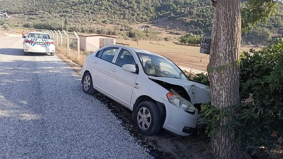 Milas’ta Direksiyon Hakimiyetini Kaybeden Sürücü Ağaca Çarptı: 2 Yaralı