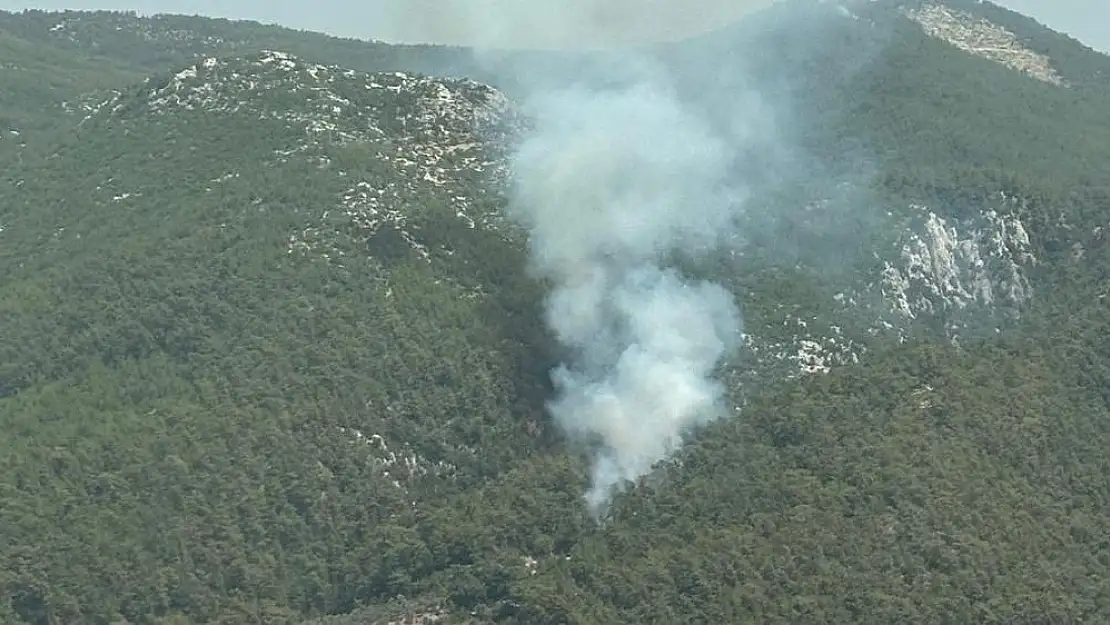 Milas’ta Orman Yangını: Ekipler Seferber Edildi