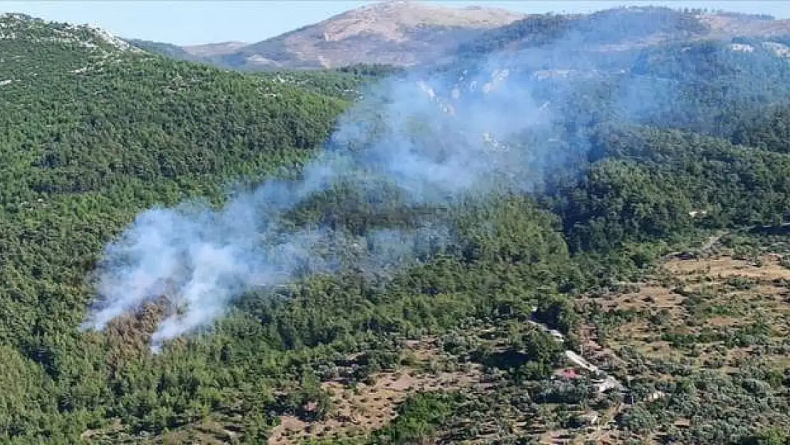 Milas’ta Ormanlık Alanda Çıkan Yangına Müdahale Ediliyor