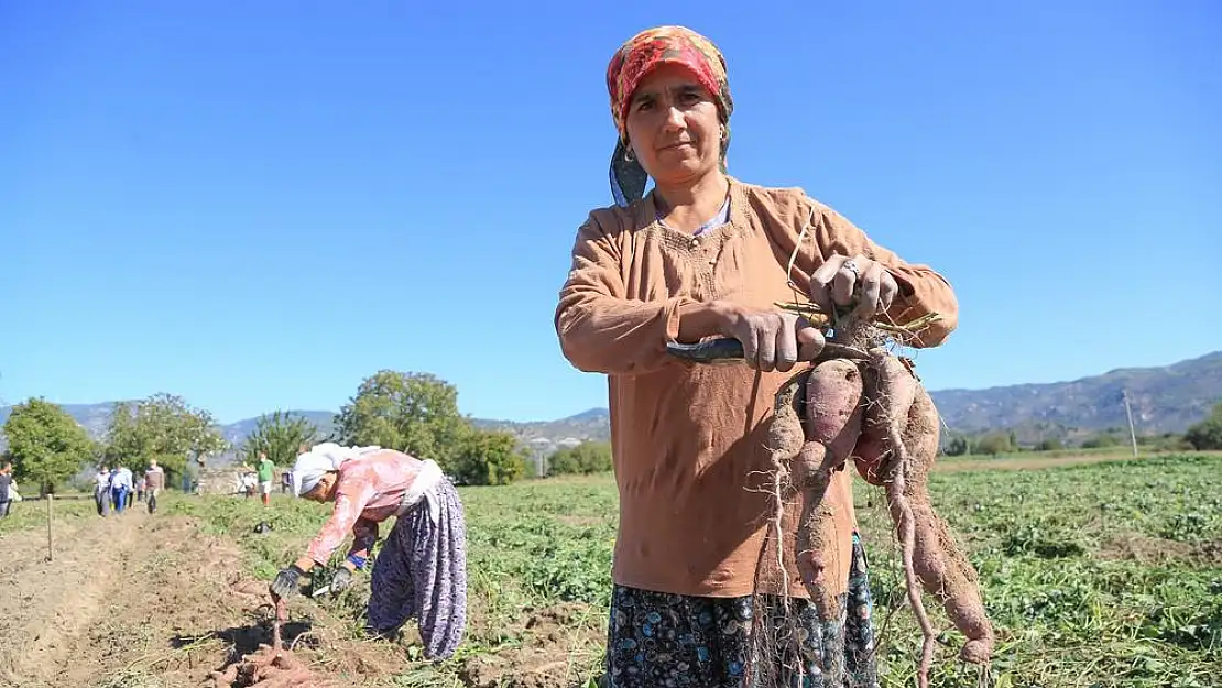 Milas’ta Sürdürülebilir Tarımın Önemi Artıyor