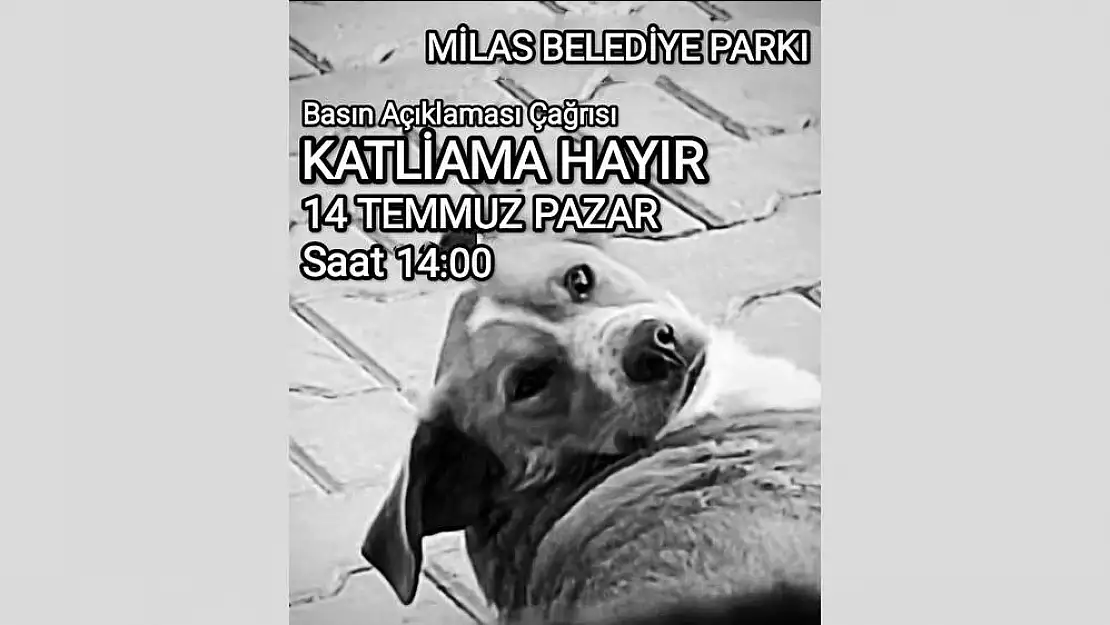 Milas’ta Yarın 14:00’te Hayvan Hakları İçin Ortak Basın Açıklaması