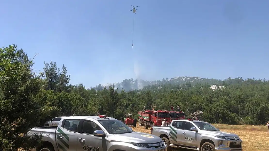 Milas’taki Orman Yangını Kontrol Altına Alındı: Ekiplerin Özverili Mücadelesi Sonuç Verdi