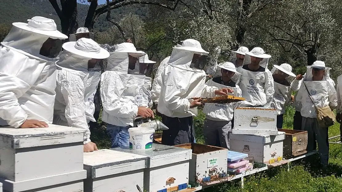 Muğla Balcılığına Büyükşehir’den Destek