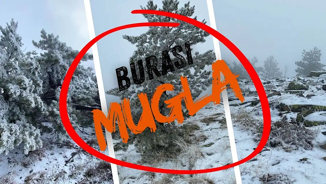 Muğla'da Yılın İlk Karı: Göktepe ve Yılanlı Beyaza Büründü