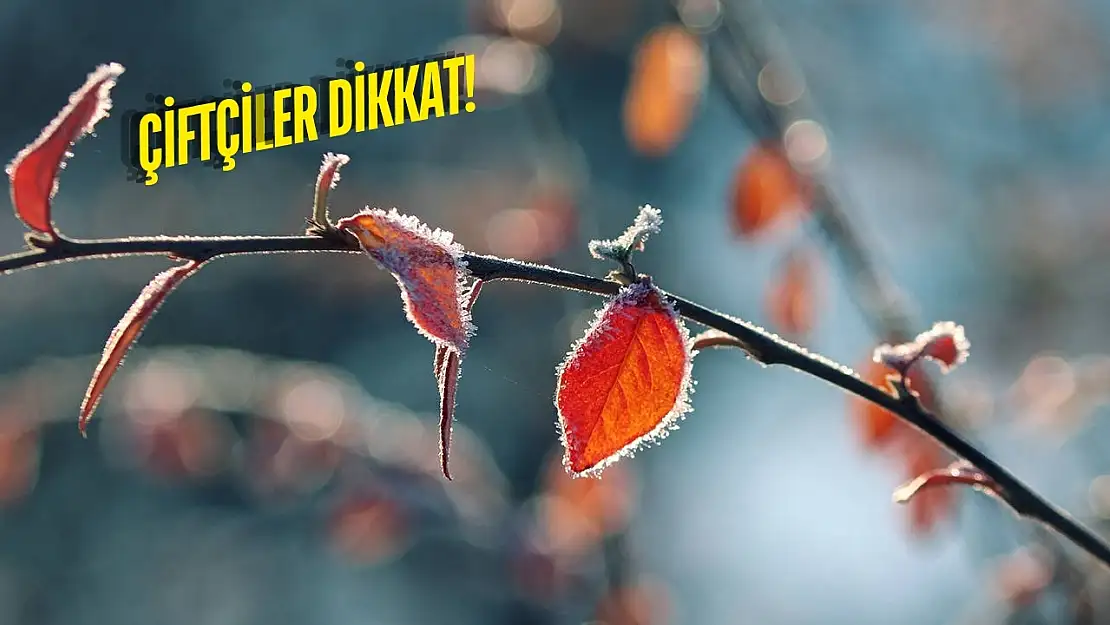 Muğla'nın Sahil Kesimlerinde Zirai Don Uyarısı