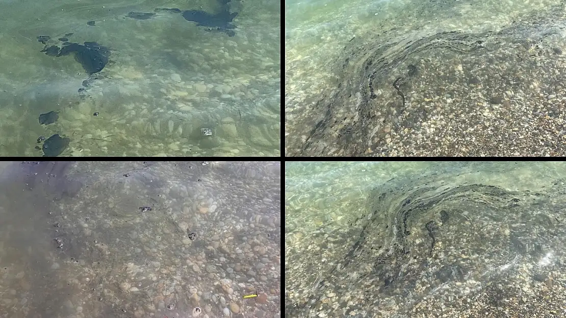 Muğla Ören'de Deniz Kirliliği Endişesi: Mazot Kokusu ve Pislik Yüzüyor