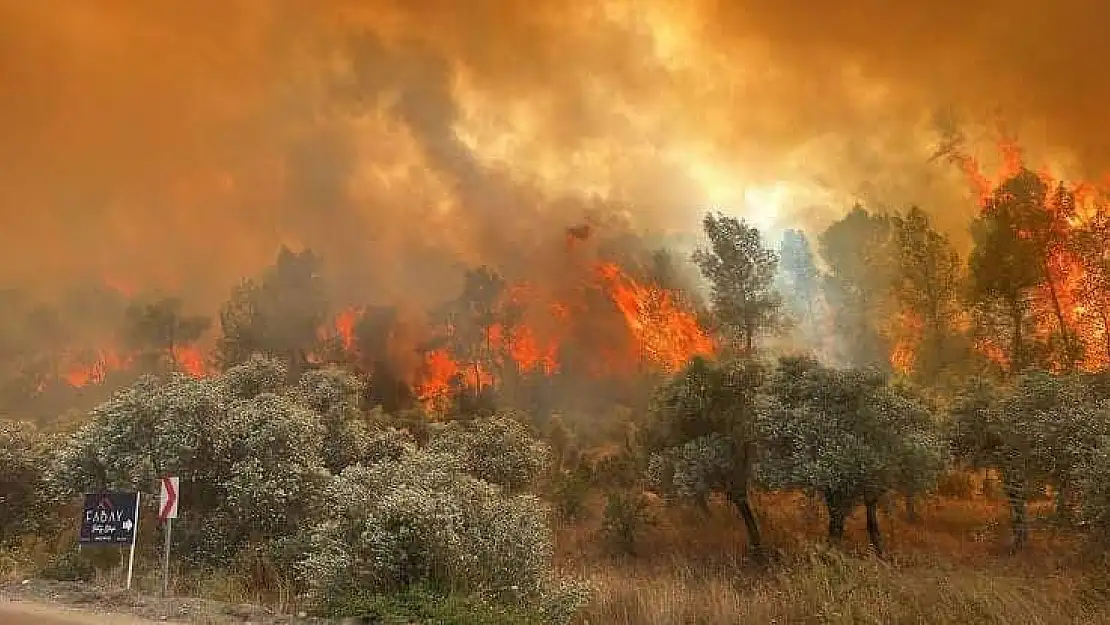 Muğla Valisi Akbıyık'tan Yangın Riskine Karşı Uyarı