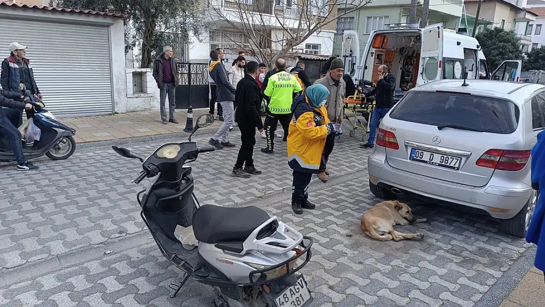 Önüne aniden çıkan köpeğe çarpan sürücü, yaralandı