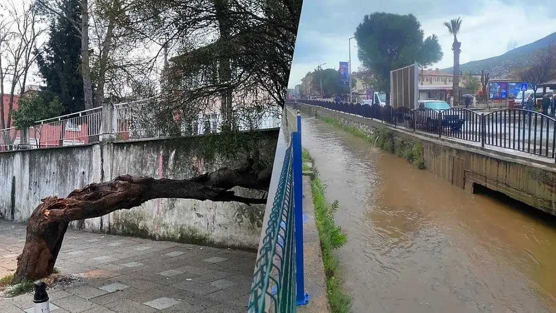 Sağanak ve Fırtına Milas’ta Etkili Oldu: Ağaçlar Kırıldı, Yağışlar Akşamda Devam Edecek…