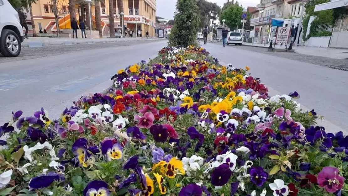 Son Cemre’de toprağa düştü