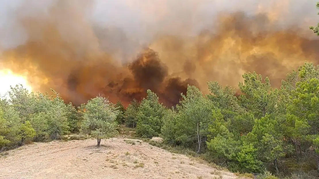 Son Dakika…Milas’ın Kısırlar Mahallesi’nde Orman Yangını Başladı