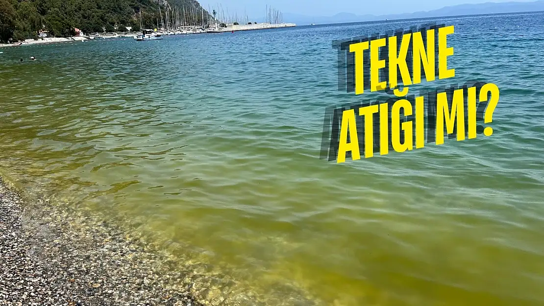 Turizm Cenneti Tehlikede: Ören'de Deniz Kirliliği Gözle Görülüyor