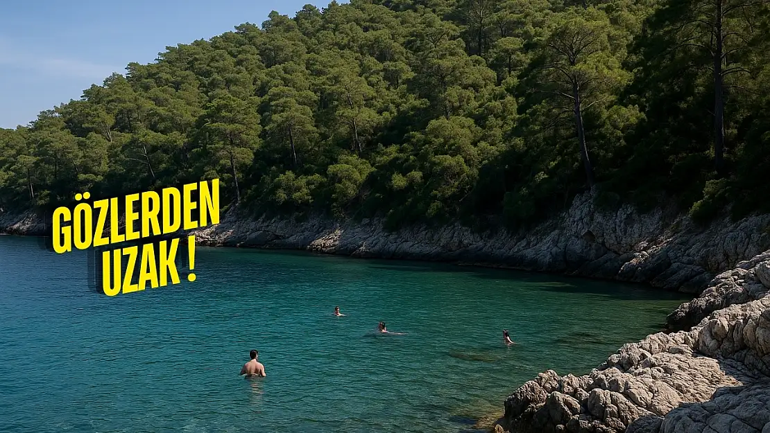 Yapılaşmanın giremediği son koy: Milas'ta hâlâ bakir bir sahil var