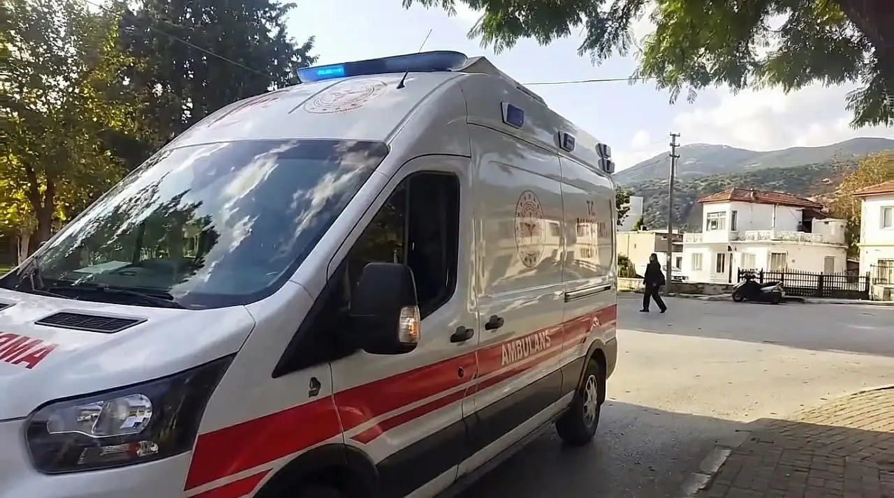 Son Dakika: Milas'ta Korku Dolu Anlar! Düşen Dallar Bebekli Anneleri Vurdu