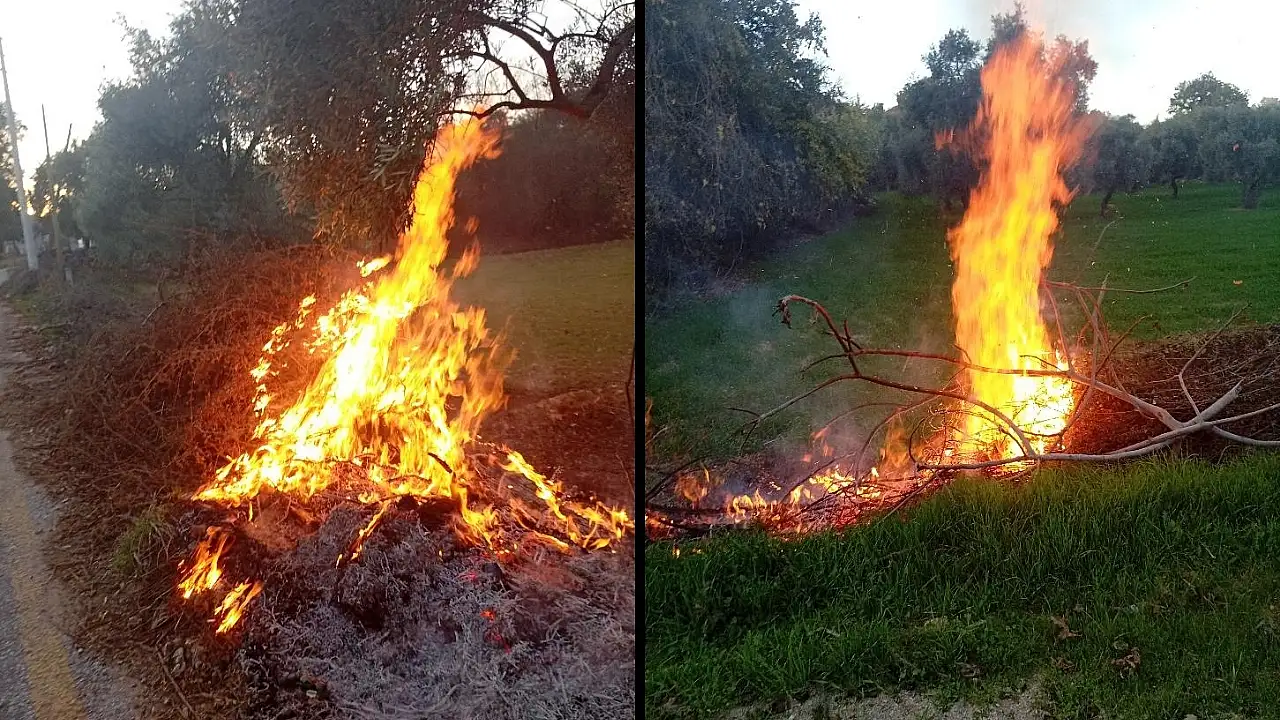 Milas Fesleğen'de Çıkan Yangın Hızla Söndürüldü