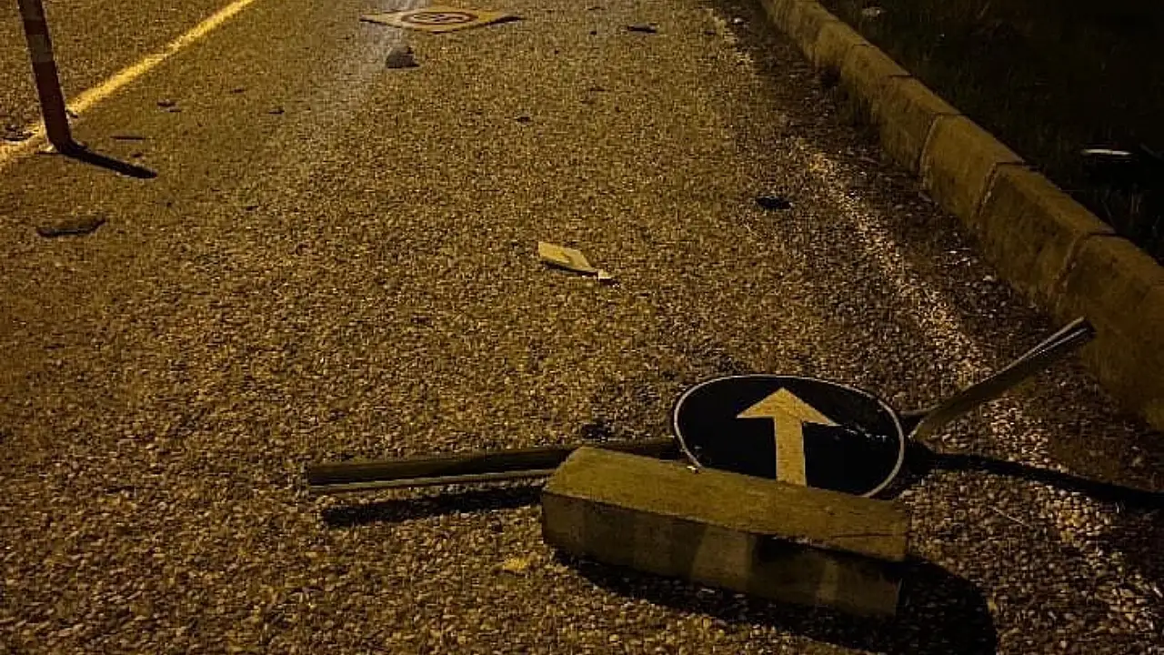 Milas'ta Korkutan Kaza: Tabelalara Çarpıp Şarampole Savruldu