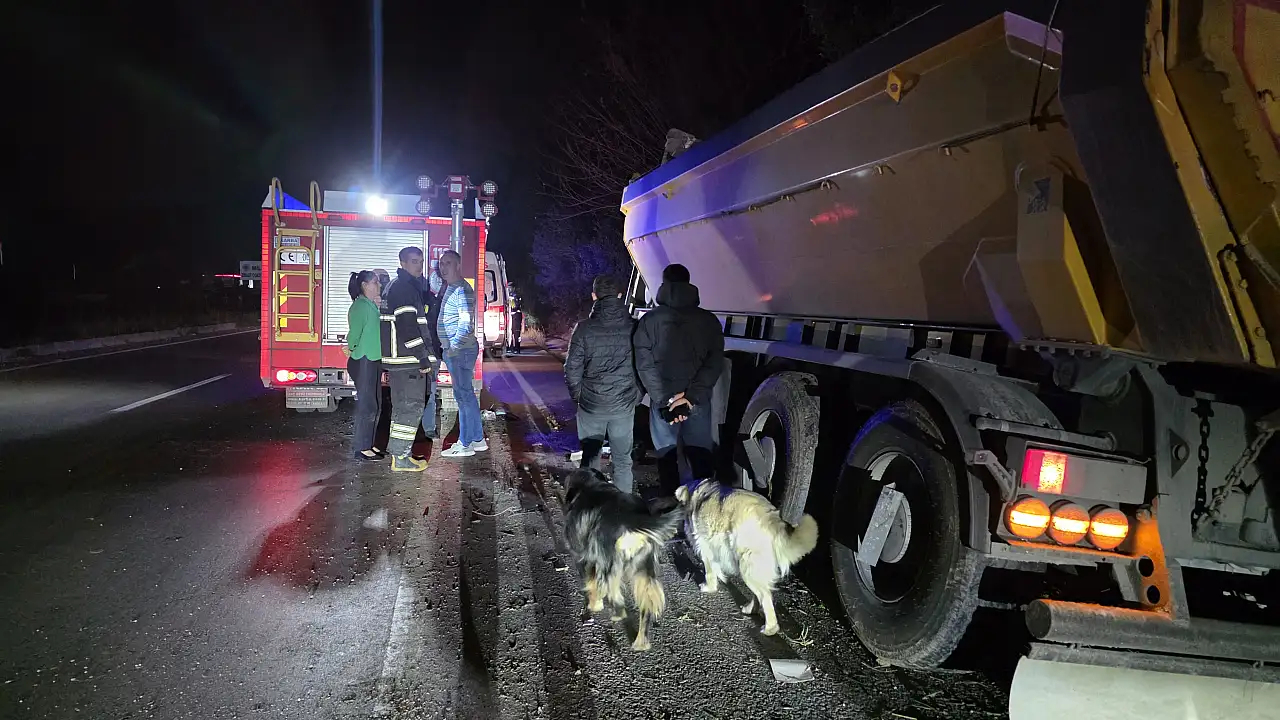 Milas Söke yolunda tır şarampole sürüklendi: Sürücü yaralandı