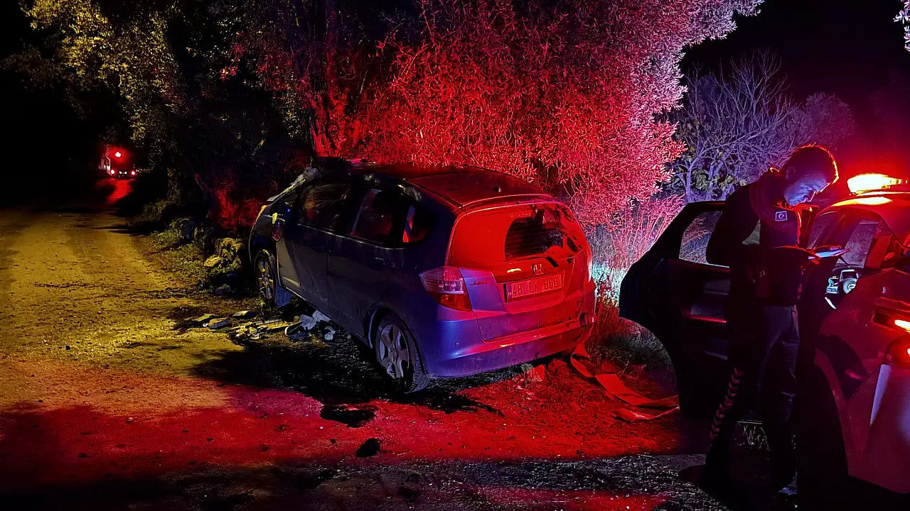 Milas'ta otomobil zeytin ağacına çarpıp takla attı: Sürücü yaralandı