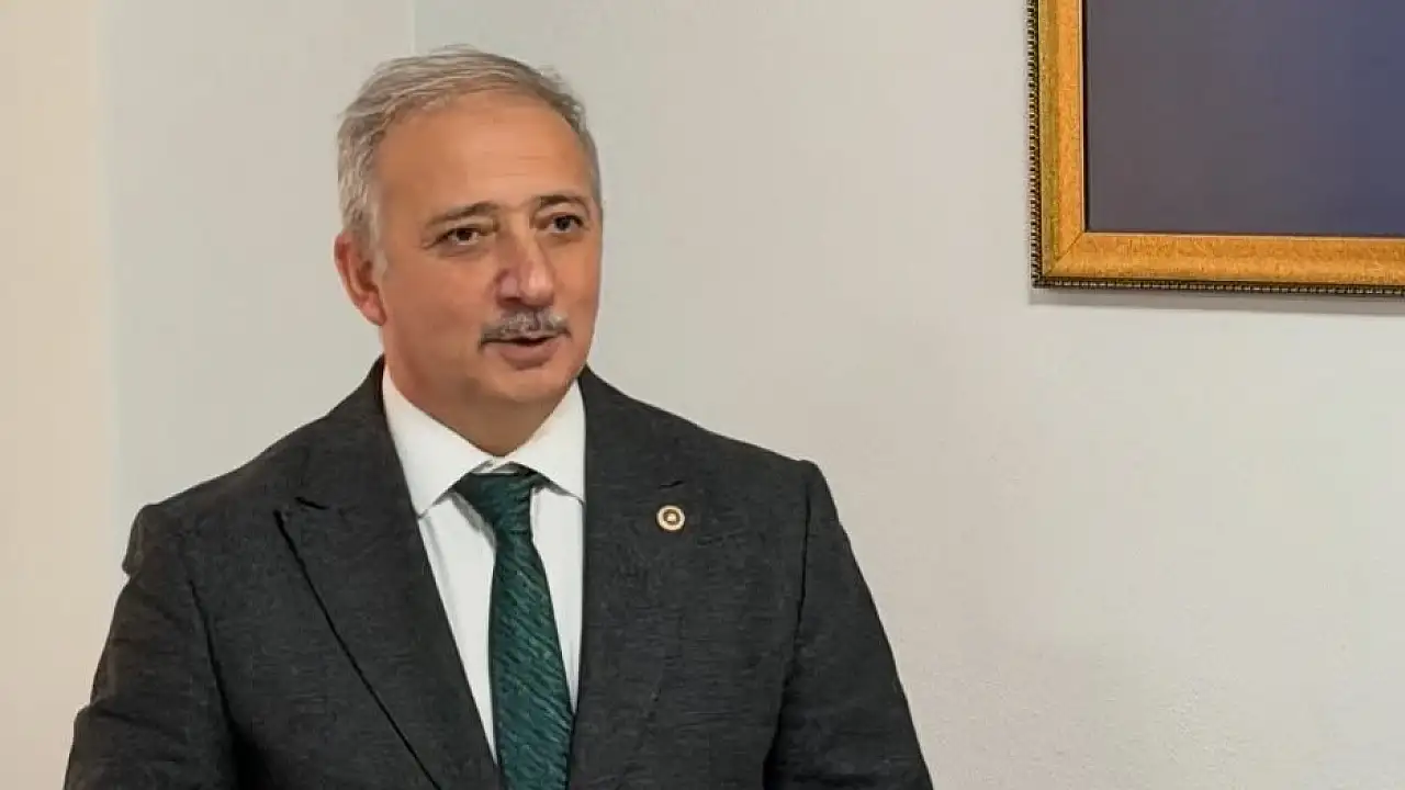 'Zeytinler fırtınada devrildi' dedi: Milas'ta CHP'li başkanın zeytin ağaçlarıyla ilgili tartışma büyüyor