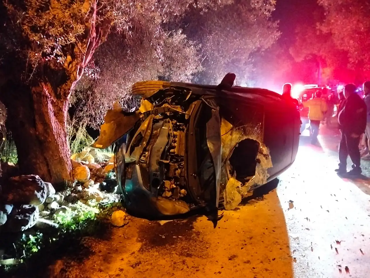 Milas'ta otomobil zeytin ağacına çarpıp takla attı: Sürücü yaralandı