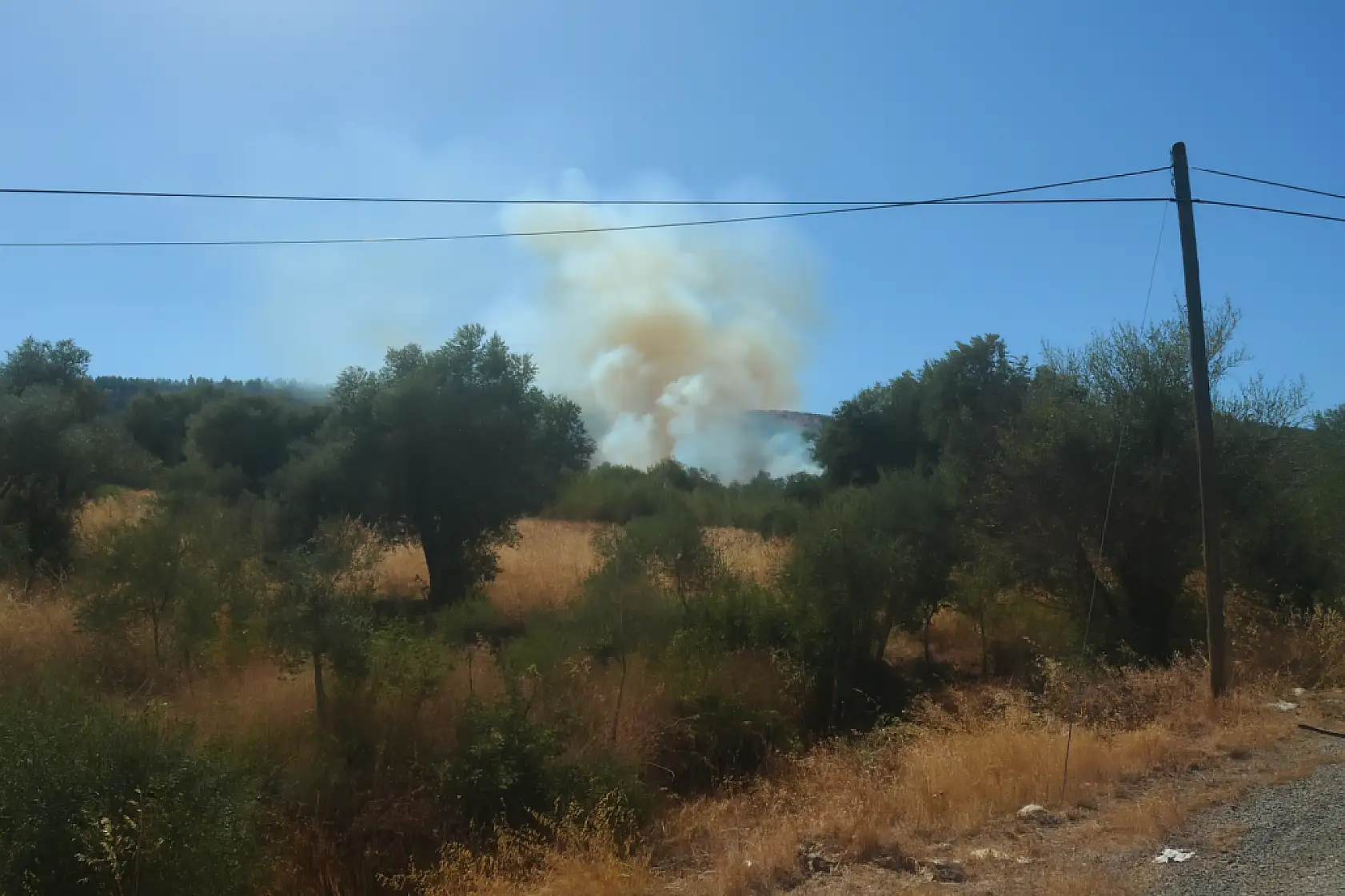Milas'ta üç ayrı noktada yangın: Akkovanlık, Kıyıkışlacık ve Ulaş'ta alevlerle mücadele sürüyor