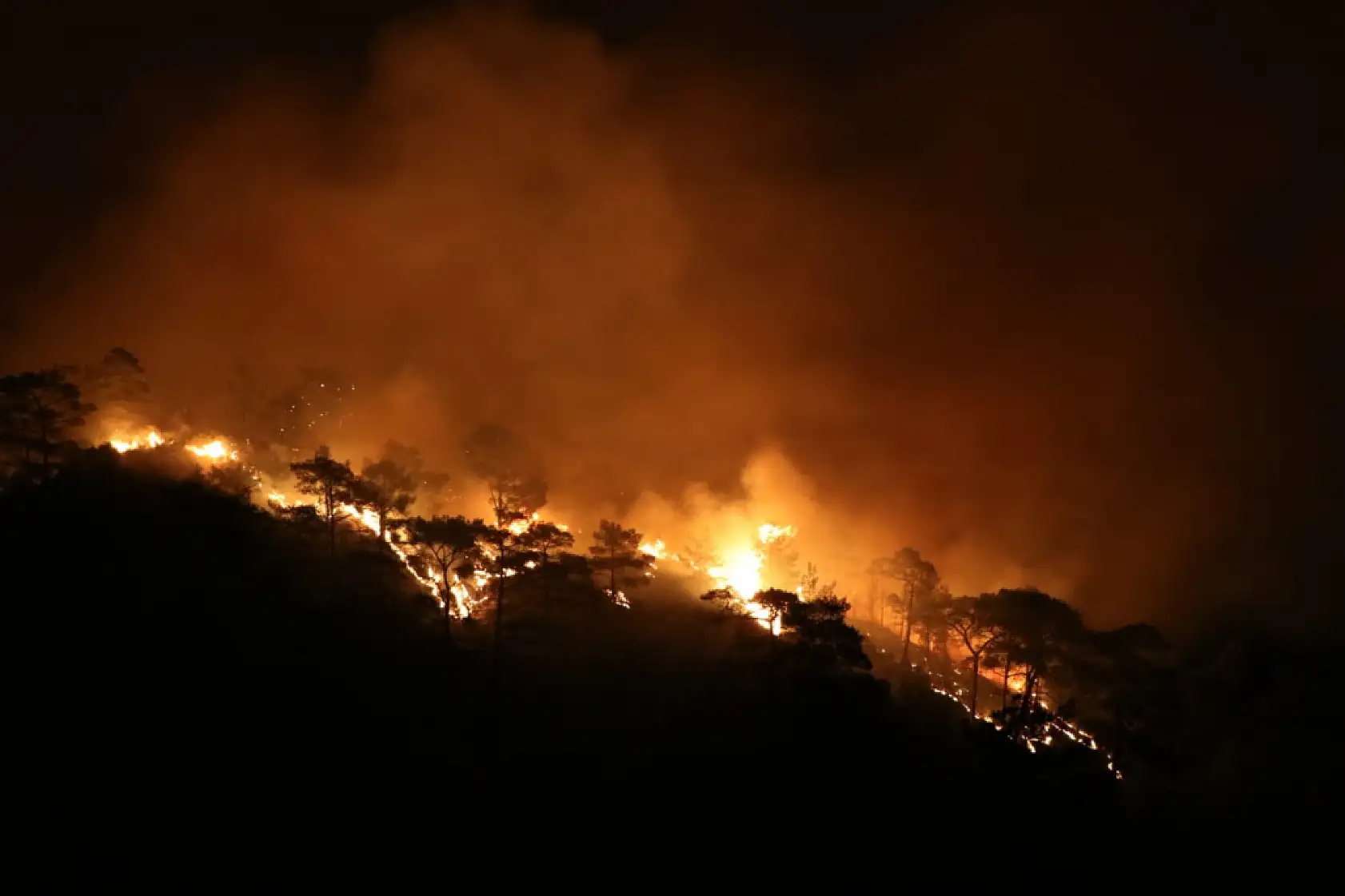 Milas Akkovanlık ve Kıyıkışlacık'ta yangınla mücadele sürüyor