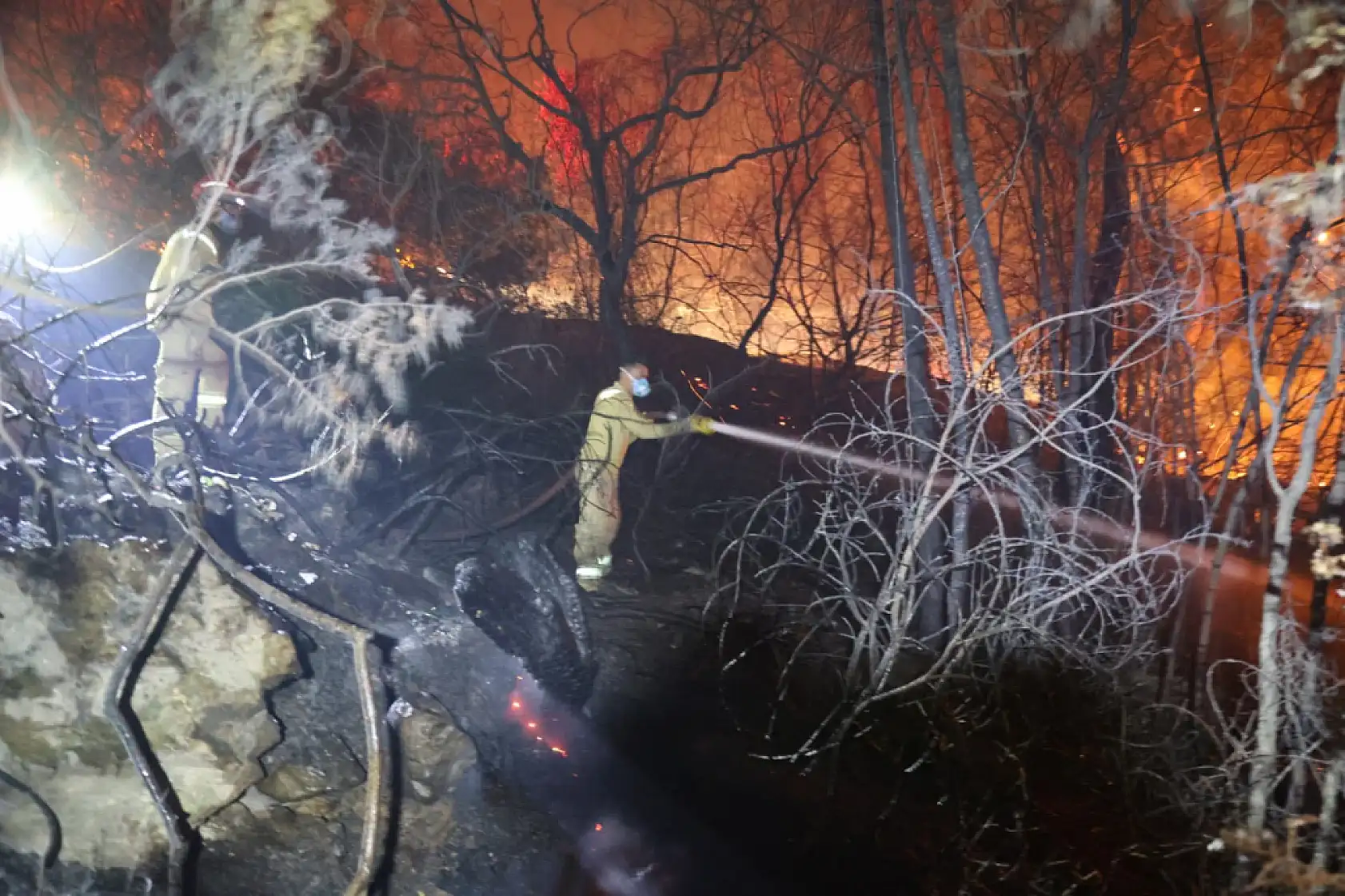 Milas Akkovanlık ve Kıyıkışlacık'ta yangınla mücadele sürüyor