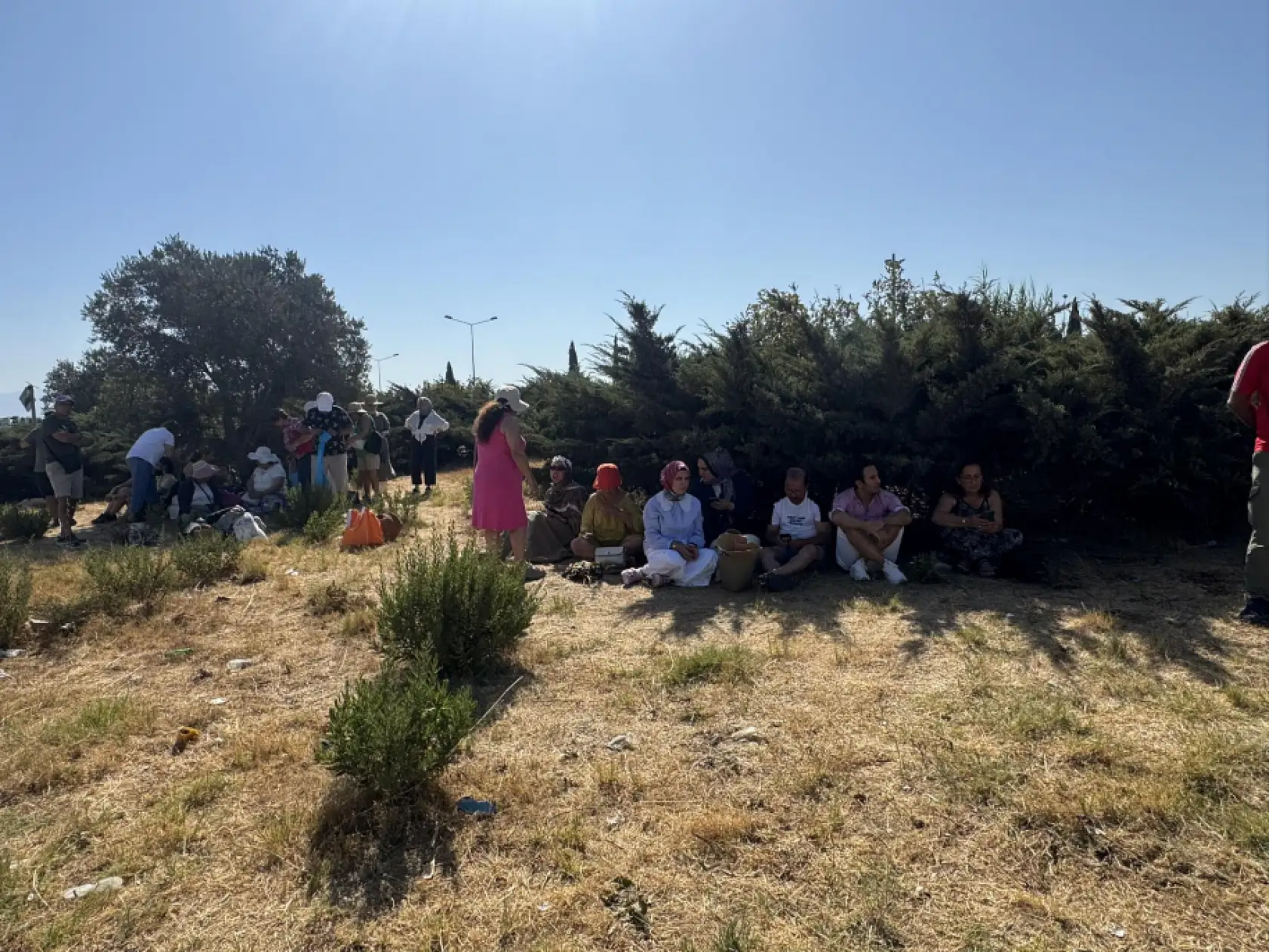 Söke Milas karayolunda freni tutmayan TIR otobüse çarptı 6 kişi yaralandı