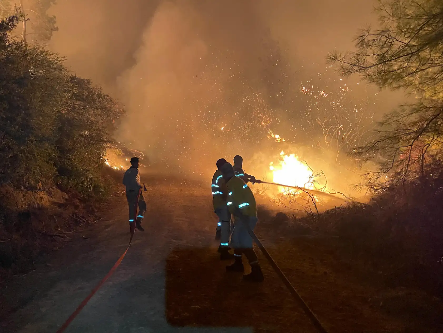 Milas Akkovanlık ve Kıyıkışlacık'ta yangınla mücadele sürüyor