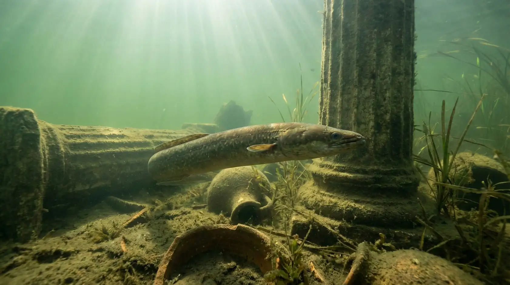Ölümüne bir aşk yolculuğu: 7.000 km gidip bir daha asla dönmüyorlar…