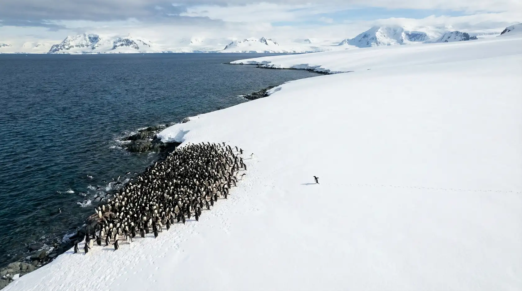 Beyaz Sonsuzluğa Yürüyüş: İnterneti Ağlatan O Görüntünün Perde Arkası