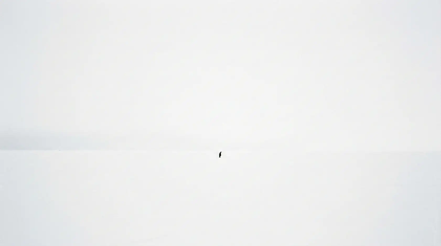 Beyaz Sonsuzluğa Yürüyüş: İnterneti Ağlatan O Görüntünün Perde Arkası