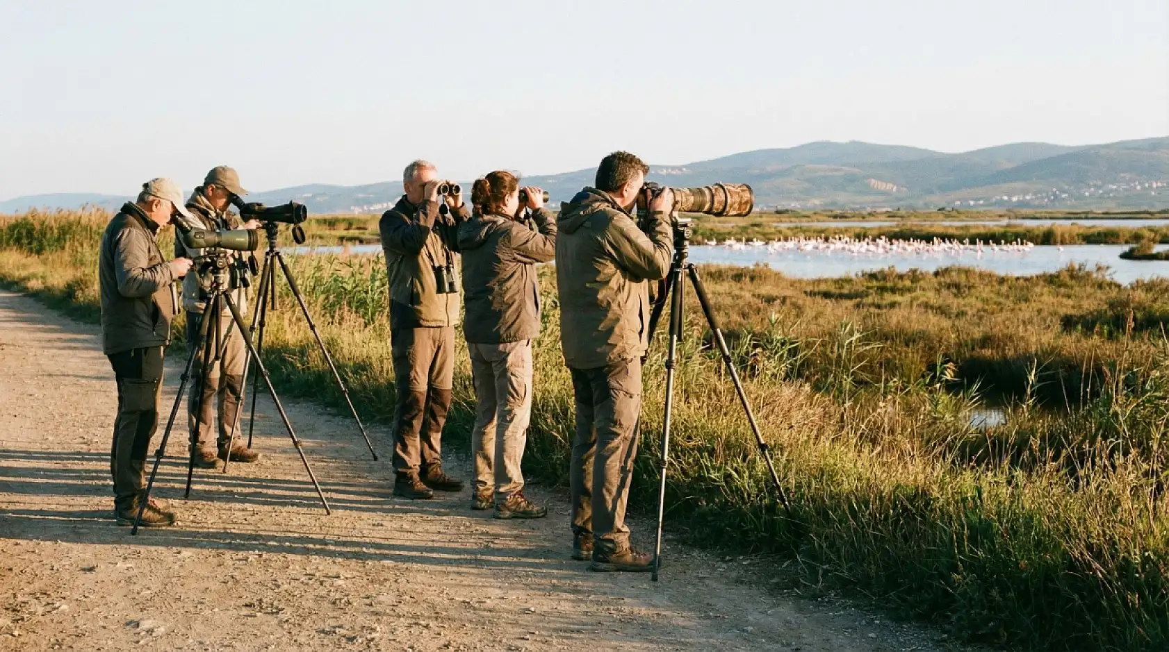 Flamingolar Tuzla Sulak Alanına Göç Etmeye Başladı