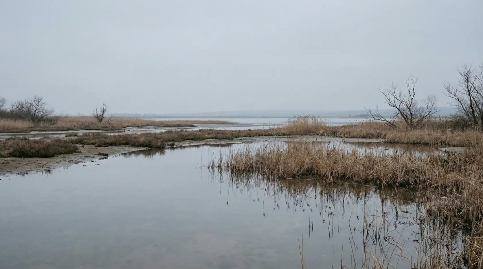 Flamingolar Tuzla Sulak Alanına Göç Etmeye Başladı
