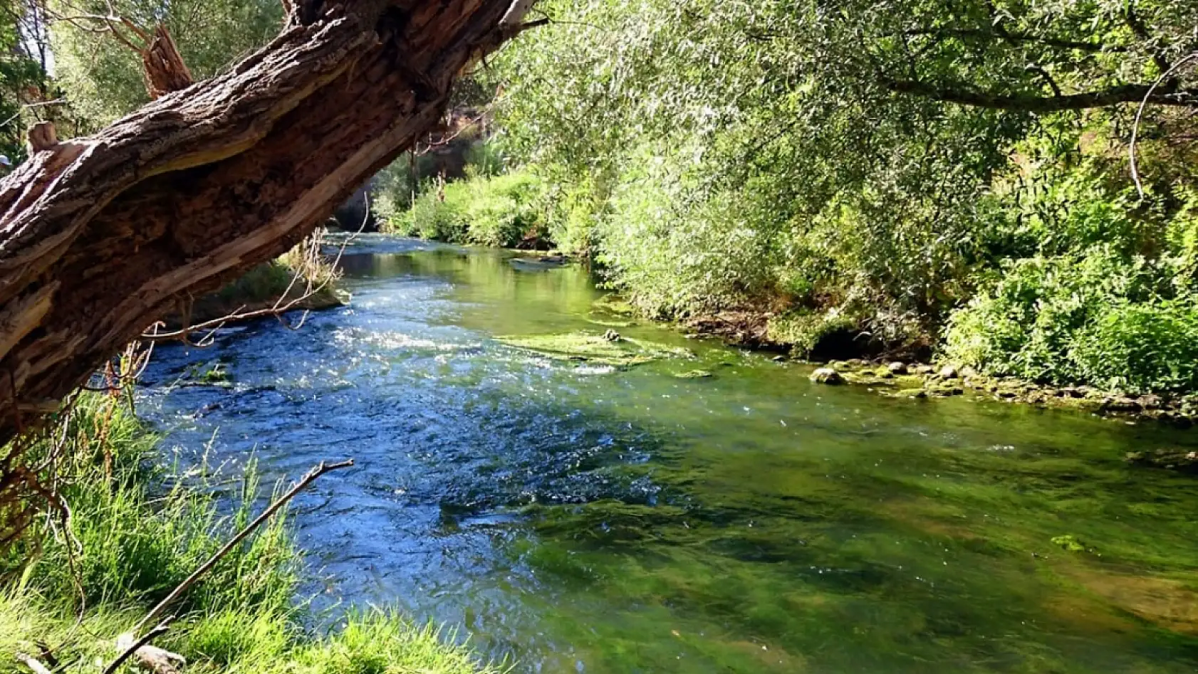 Türkiye'nin en saklı vadisi Milas'ta ortaya çıktı: İşte o fotoğraflar