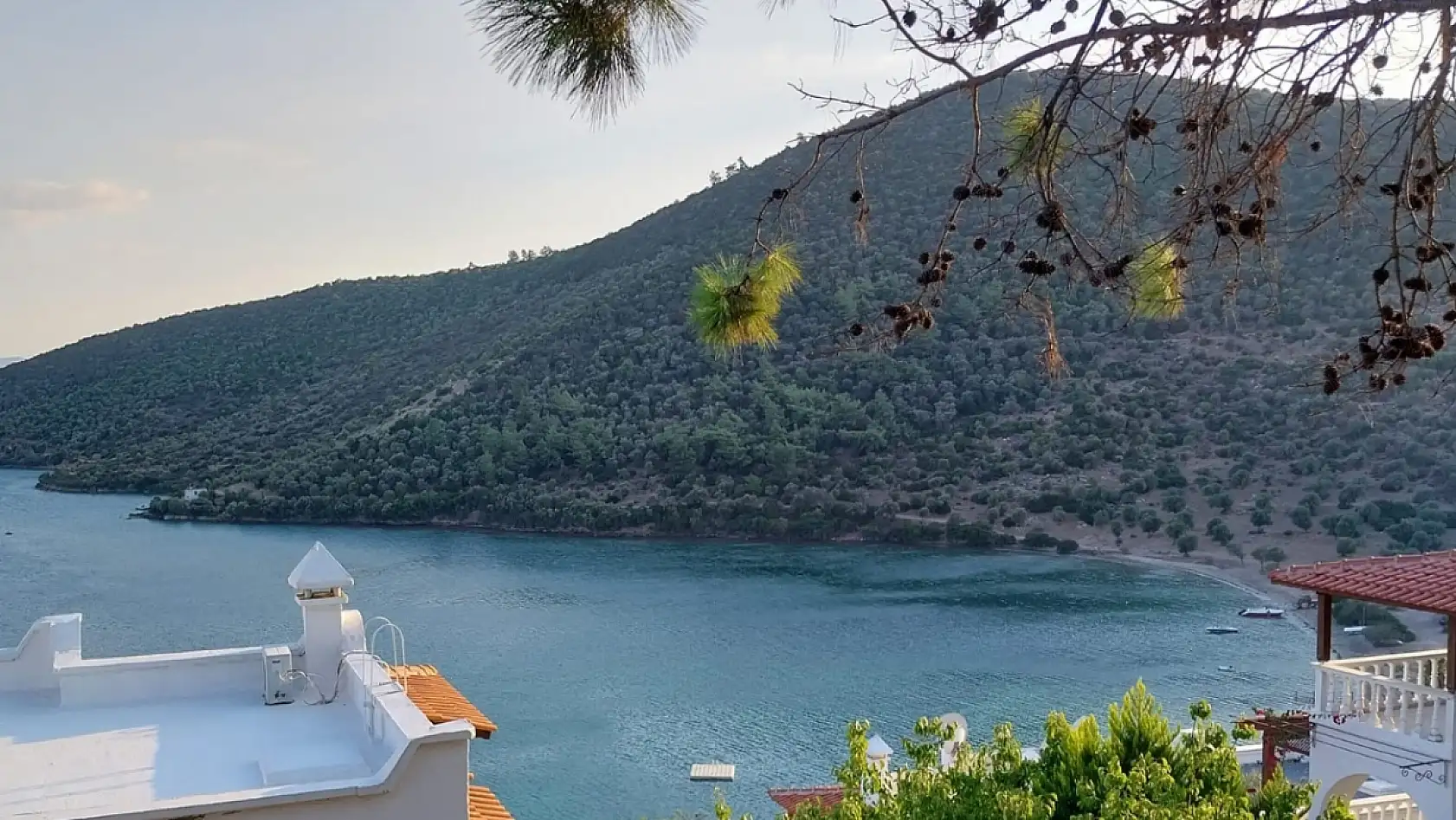 Milas'ta denize sıfır arazide CHP'li vekillere kıyak rezidans planı