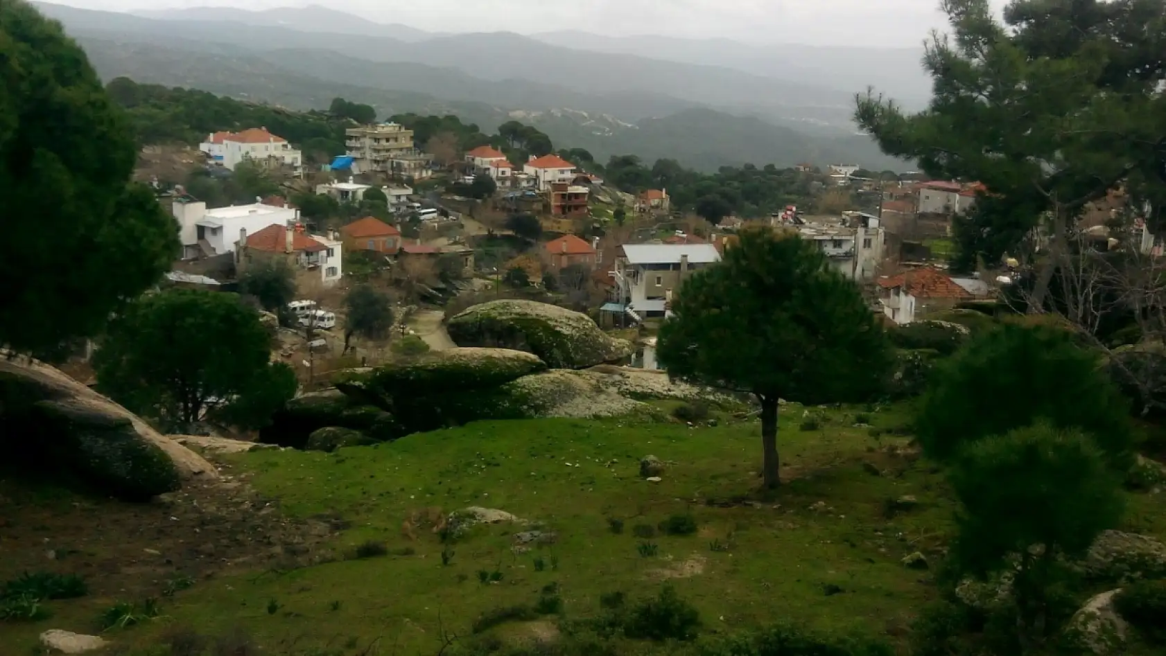 Dünyanın yaşayan tek canlı müzesinin Milas'ta olduğu ortaya çıktı