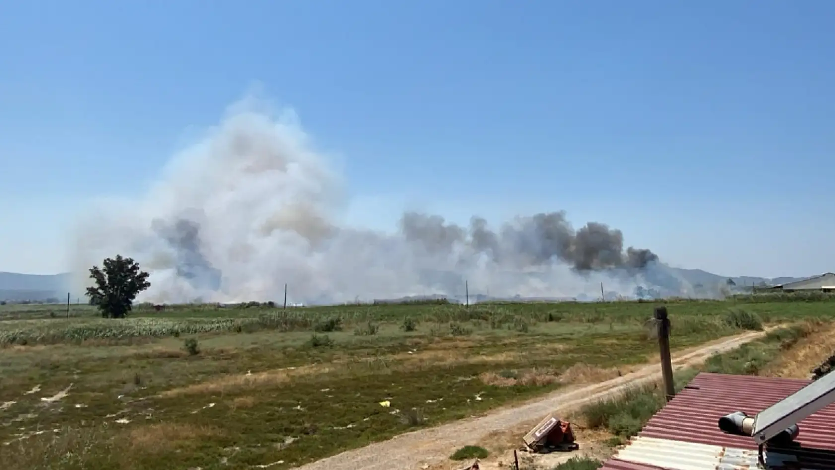 Milas Avşar Mahallesi'nde Otluk Alanda Çıkan Yangın Büyüyor