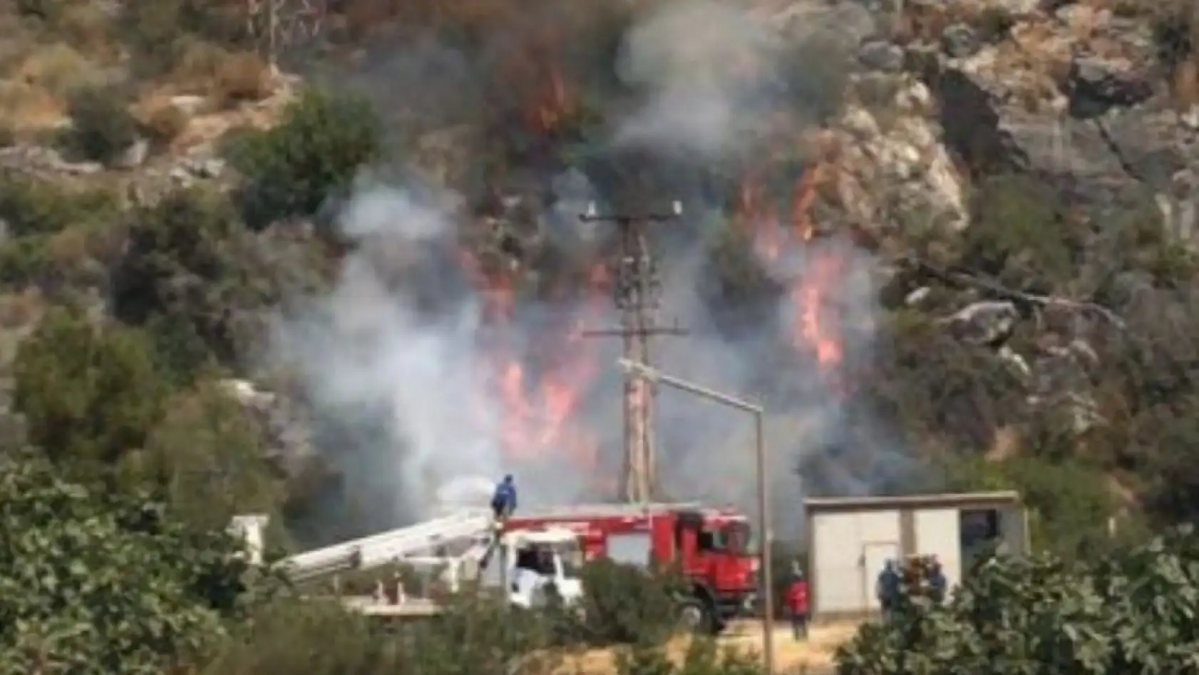 Milas'ta Makilik Alanda Çıkan Yangın Kısa Sürede Söndürüldü