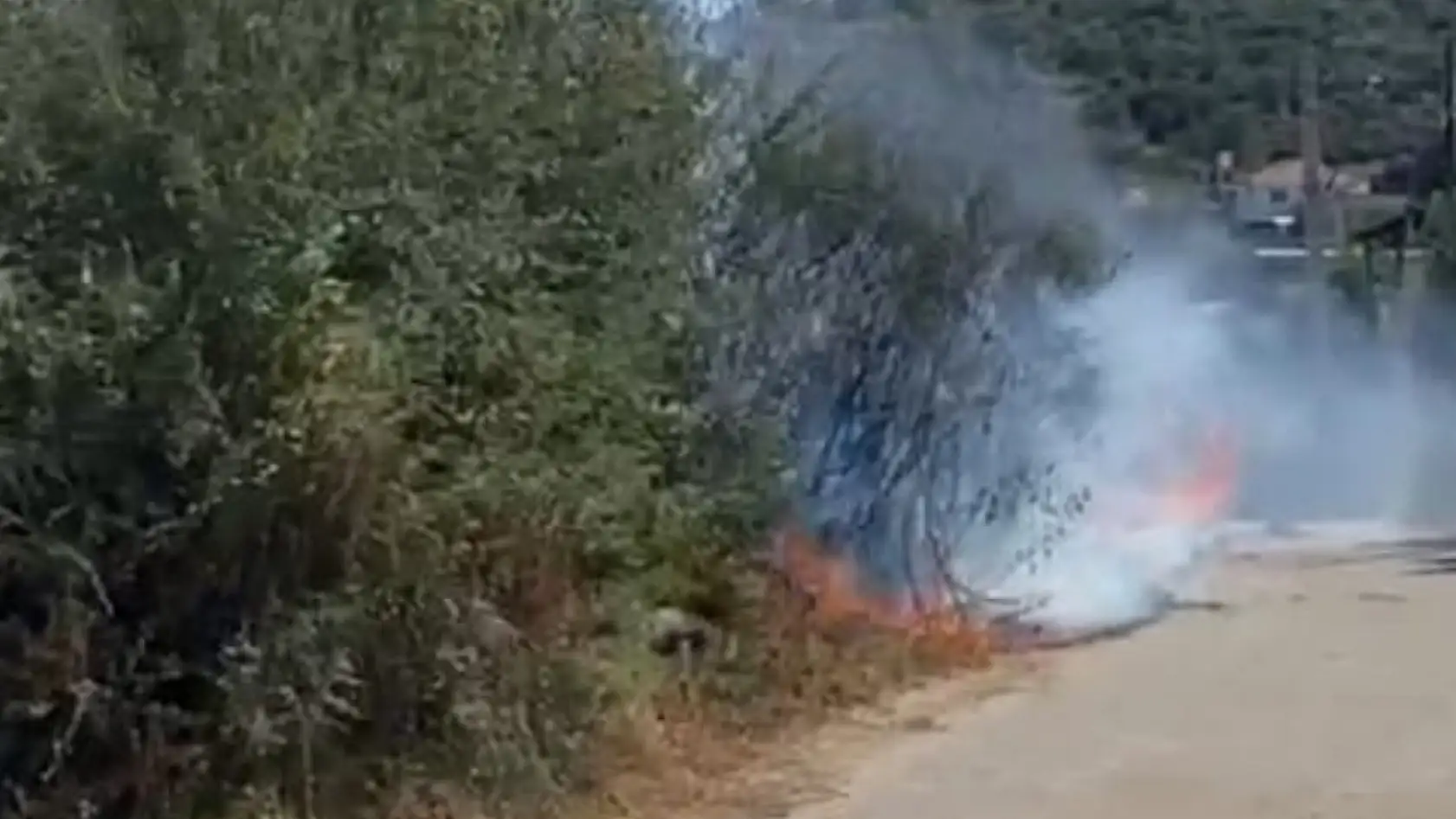 Milas'ın Kafaca Mahallesi'nde Otluk Yangını Korkuttu