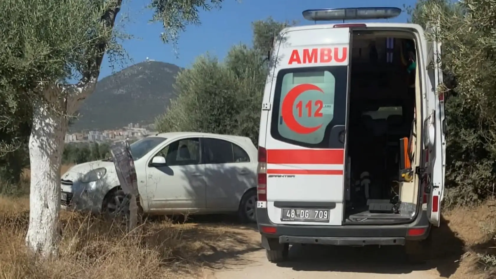 Milas'ın Sevilen Sanayi Esnafı 38 Yaşındaki Cenk Barın Zeytinlikte Ölü Olarak Bulundu