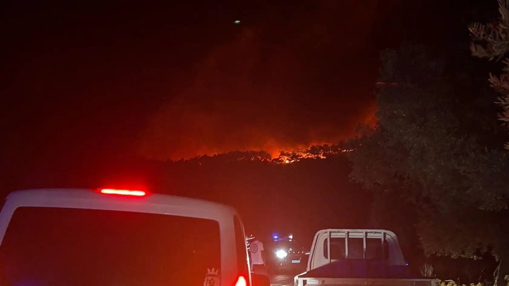 Milas'ın Kıyıkışlacık Mahallesi'nde gece yarısı yangın alarmı