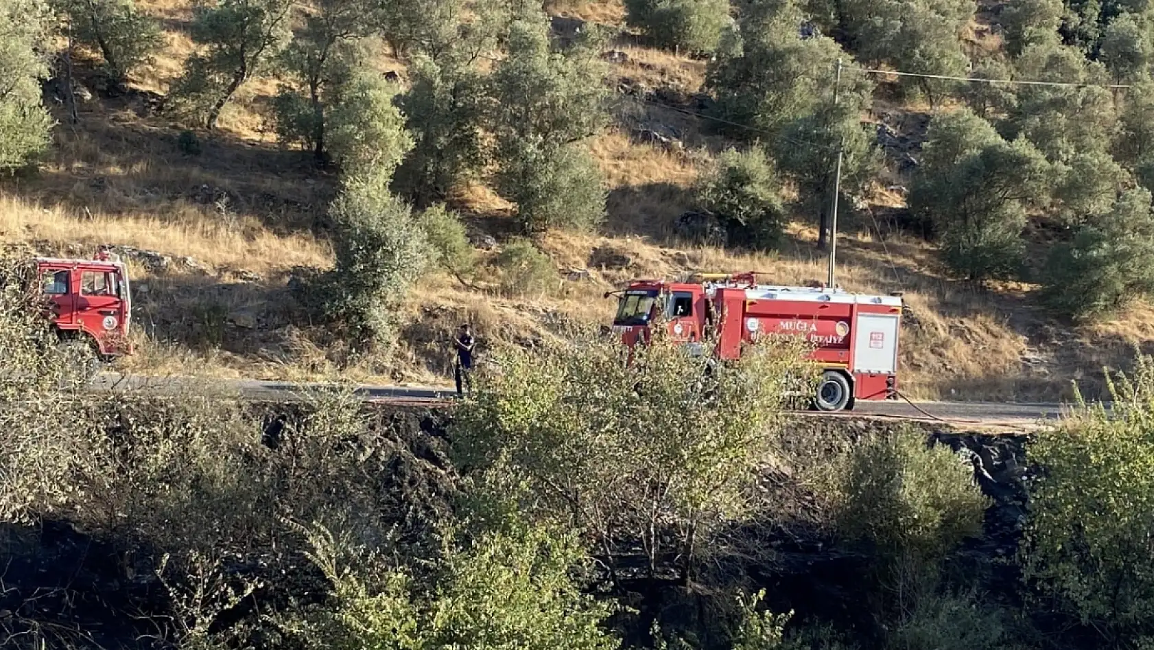 Milas'ta Sarıçay Köprüsü'nde otluk yangını