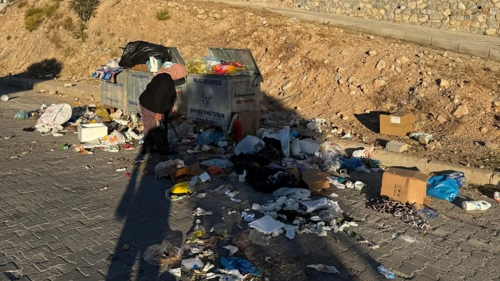 Milas'ta Çöpler Yolları Kapladı, Kokular Mahalleye Yayıldı: Vatandaşlar İsyan Etti
