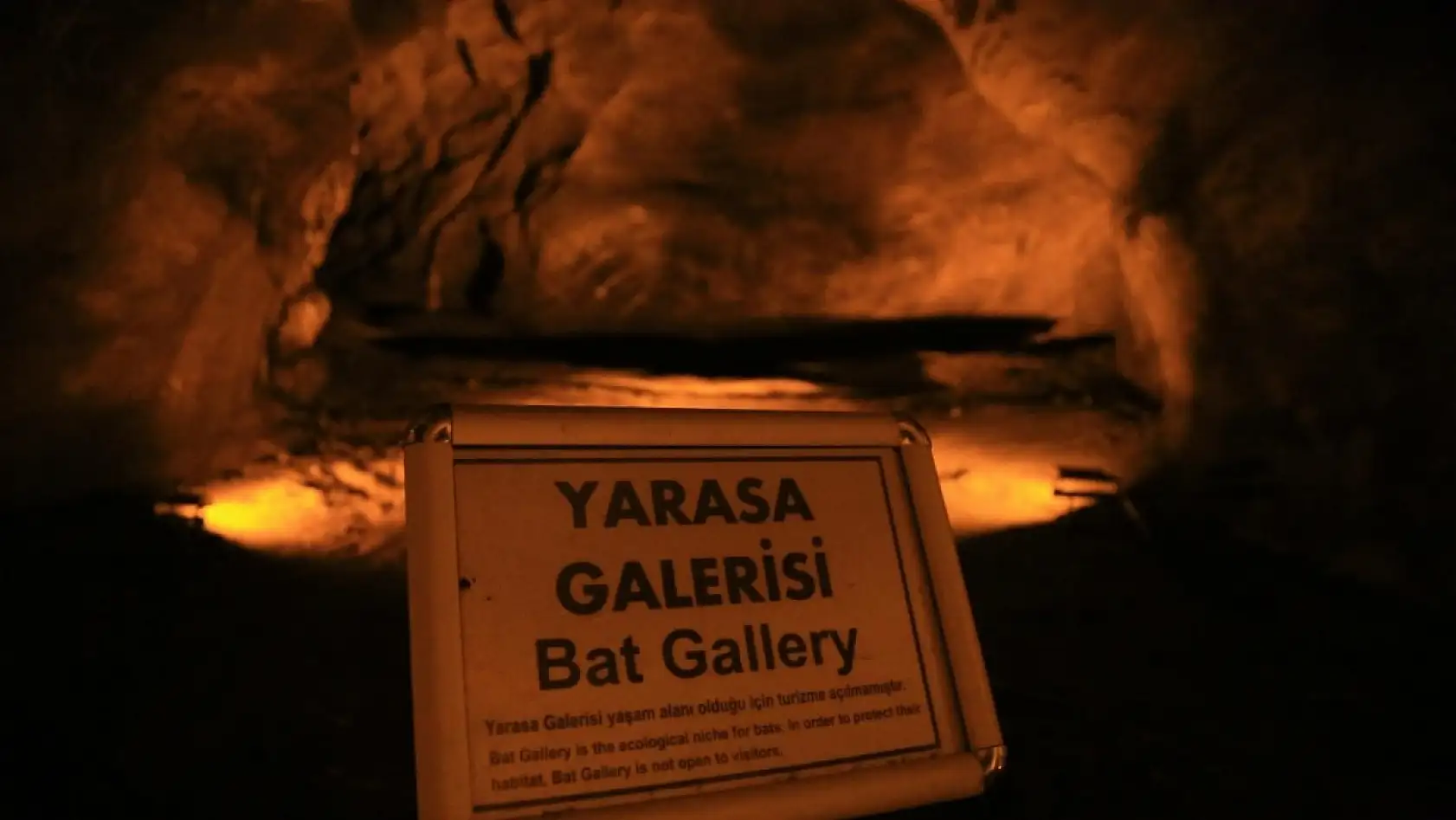 Türkiye'nin en saklı vadisi Milas'ta ortaya çıktı: İşte o fotoğraflar