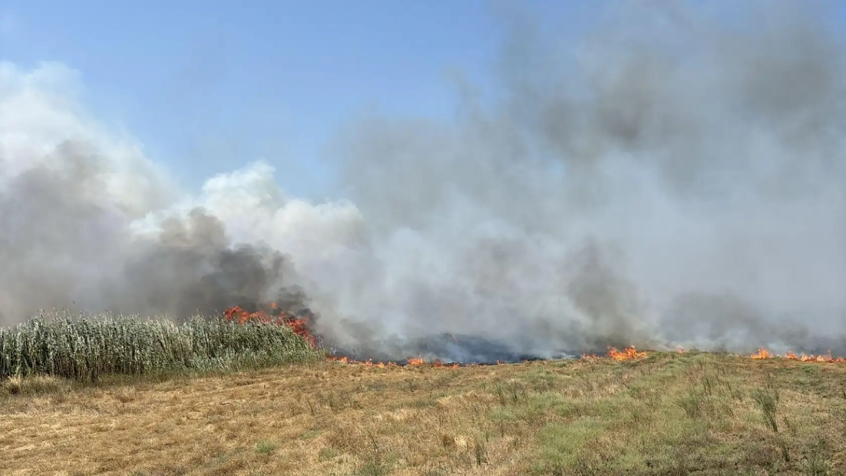 Milas Avşar Mahallesi'nde Otluk Alanda Çıkan Yangın Büyüyor