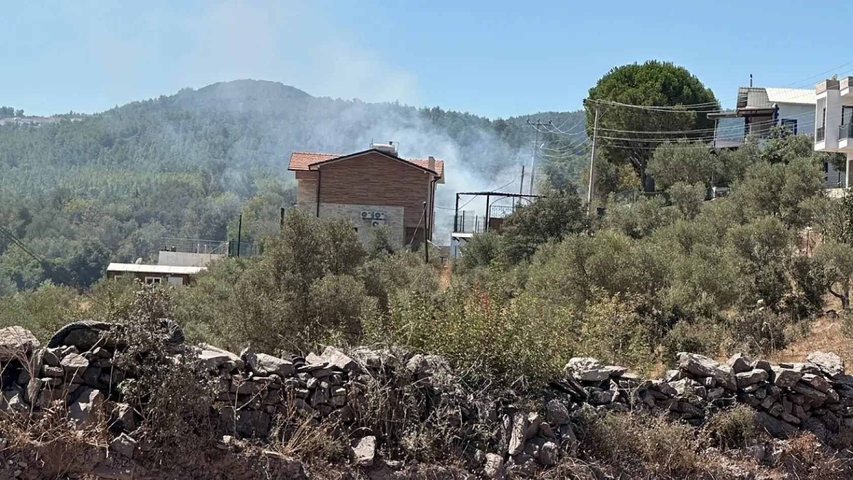Milas Meşelik Mahallesi'nde Çıkan Yangına Ekipler Anında Müdahale Etti