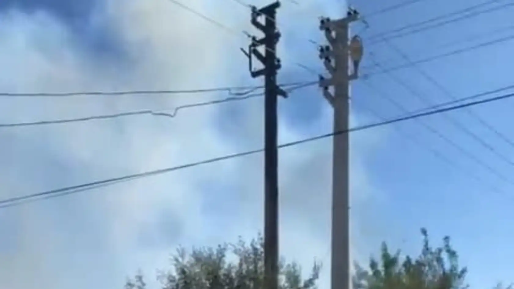 Milas'ın Kafaca Mahallesi'nde Otluk Yangını Korkuttu