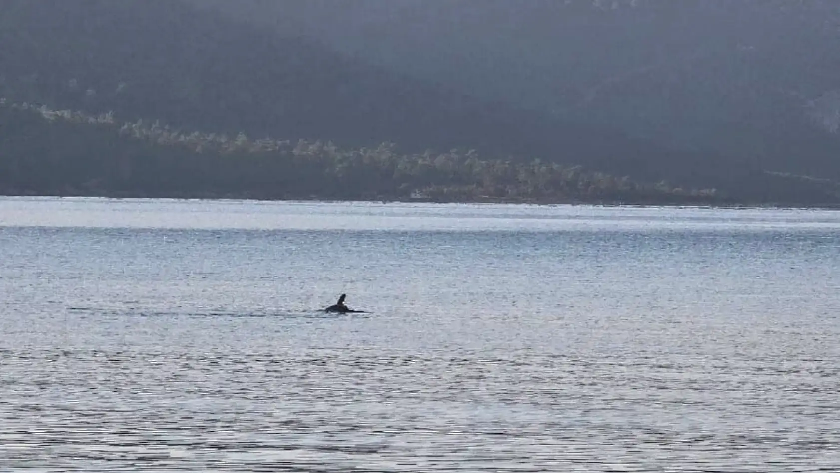 Milas'ta Eylül Sakinliğiyle Doğa Yeniden Sahneye Çıktı